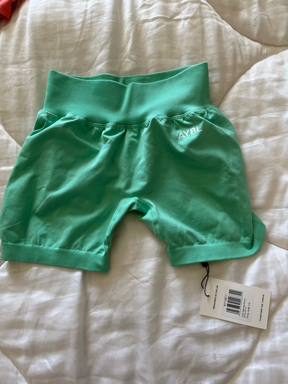 AYBL Adapt Spring Mint 4.5 “ inseam Shorts